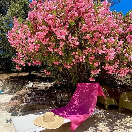 La Bastide Blanche Magnifique 5 Etoiles 5 Et Piscine Privee Sur 6500 M Villa *