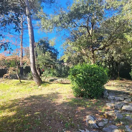 Villa La Bastide Blanche Magnifique 5 Etoiles 5 Et Piscine Privee Sur 6500 M Lorgues
